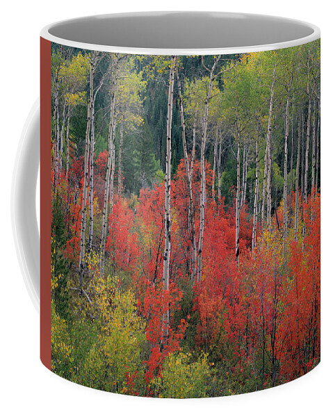 Idaho Scenics Coffee Mug featuring the photograph Forest of Color by Leland D Howard