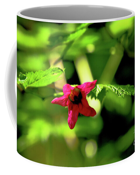Pink Coffee Mug featuring the photograph Forest Treasure Hot Pink by Rich Collins