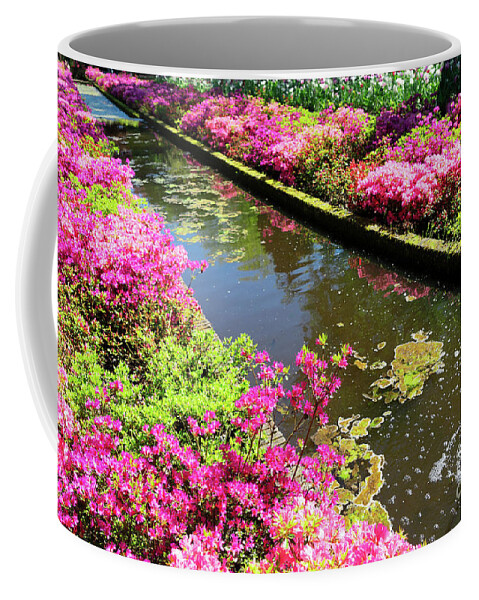 Garden Coffee Mug featuring the photograph Pink Rododendron Flowers by Anastasy Yarmolovich