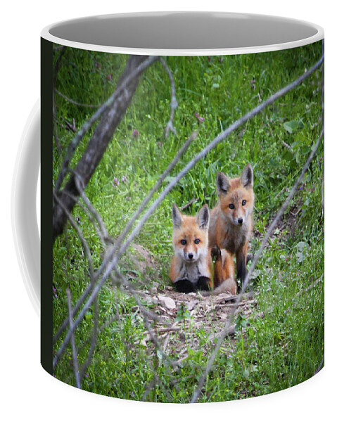 Fox Kits Coffee Mug featuring the photograph Fox Kits by Greg Smith