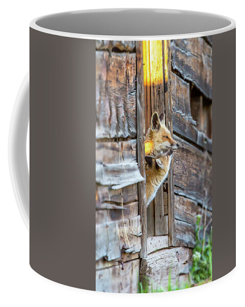 2015 Coffee Mug featuring the photograph Butterfly Kisses by Kevin Dietrich