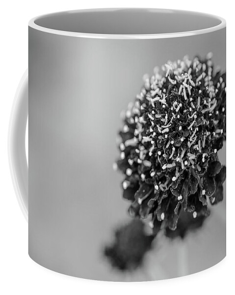 Flower Coffee Mug featuring the photograph Frazzled Grayscale by Mary Anne Delgado