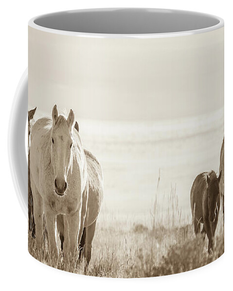 Wild Horses Coffee Mug featuring the photograph Free family 3 by Mary Hone