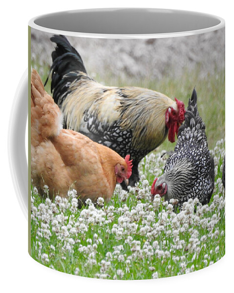 Chickens Coffee Mug featuring the photograph Free Range by Charlotte Schafer