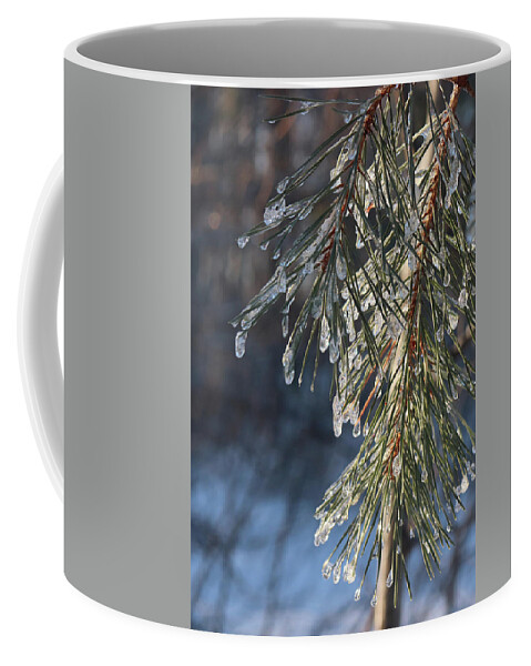 Ice Storm Coffee Mug featuring the photograph Freezing Rain Decoration by David T Wilkinson