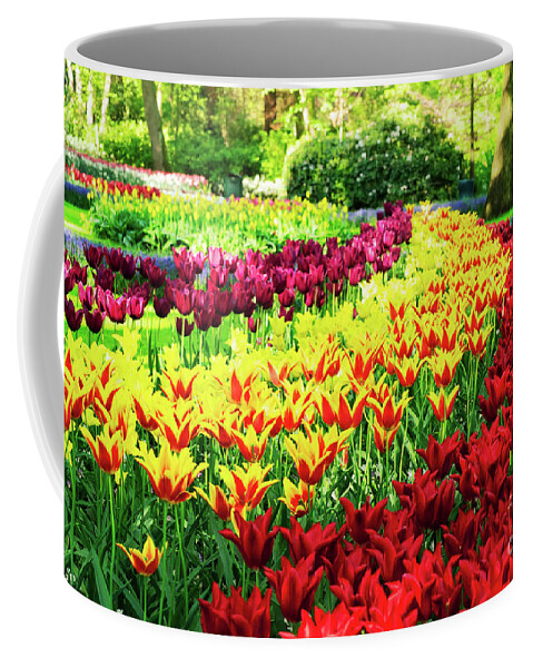 Netherlands Coffee Mug featuring the photograph Tulips Park by Anastasy Yarmolovich