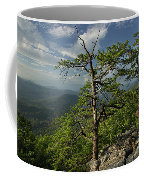 Sunrise Coffee Mug featuring the photograph Fresh Mountain Morning by Mike Eingle