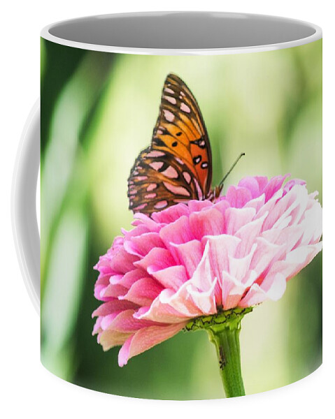 Gulf Fritillary Butterfly Coffee Mug featuring the photograph Fritillary on Zinnia by Mary Ann Artz