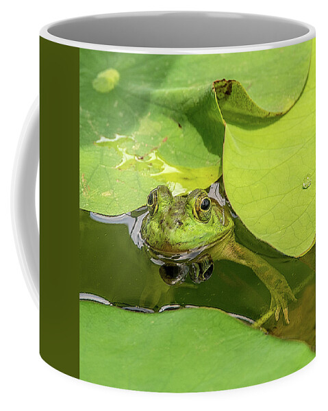 Frog Coffee Mug featuring the photograph Frog by Minnie Gallman
