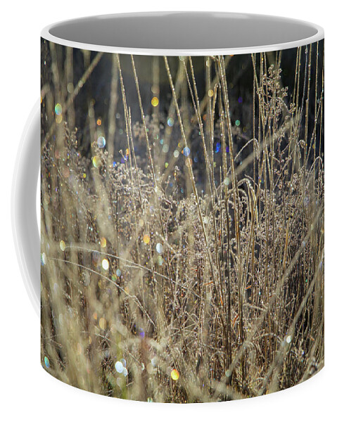 Frost Coffee Mug featuring the photograph Frosty Meadow Grass 1 by Randy Robbins