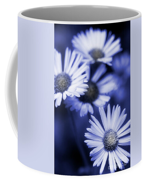 Daisy Coffee Mug featuring the photograph Fun With Daisies by Mike Eingle