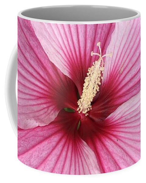 Hibiscus Coffee Mug featuring the photograph Fuschia Fantastic by Anjel B Hartwell
