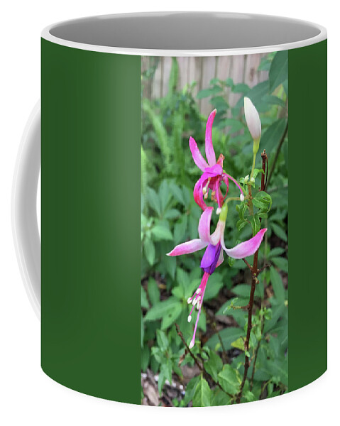 Fuschia Coffee Mug featuring the photograph Fuschia Flower Vertical by Aimee L Maher ALM GALLERY