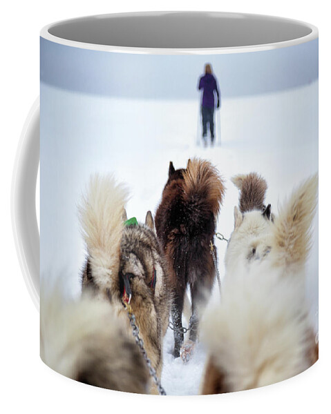 Dog Coffee Mug featuring the photograph Fuzzy Tails Across the Snow by Becqi Sherman