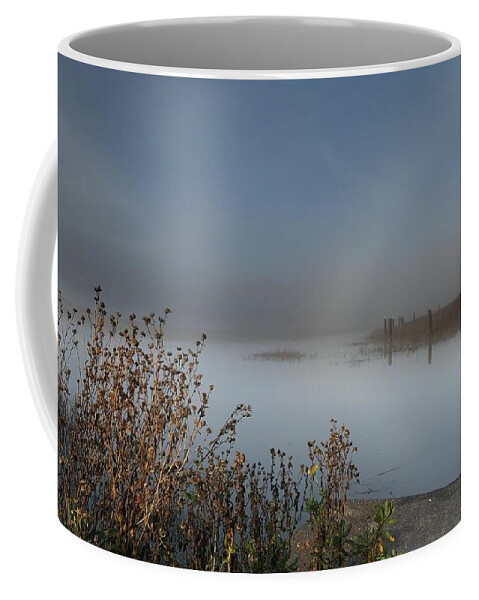 Gallinas Creek Coffee Mug featuring the photograph Gallinas Creek Sunrise by John Parulis