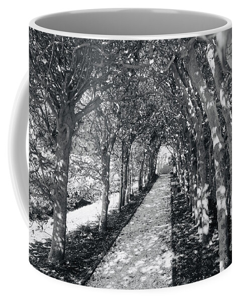 Colonial Williamsburg Coffee Mug featuring the photograph Garden Arbor in Black and White by Rachel Morrison