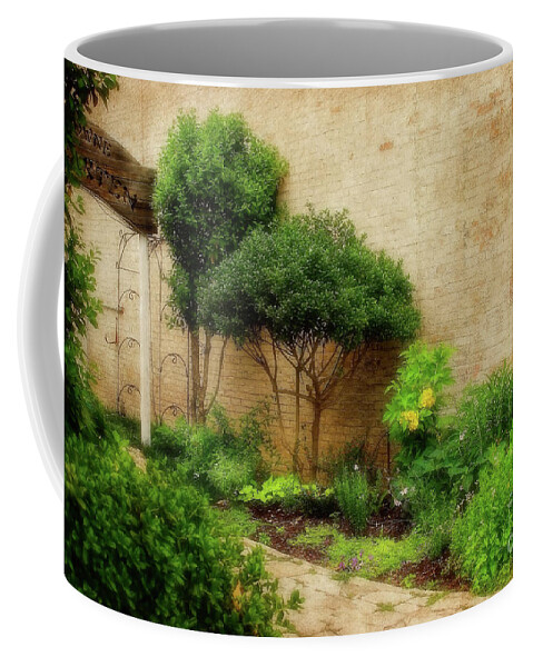 Garden Coffee Mug featuring the photograph Garden Path by Joan Bertucci