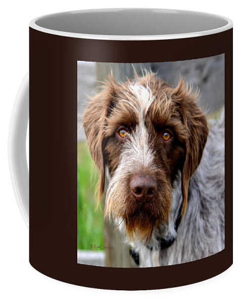 Dog Coffee Mug featuring the photograph German Wirehaired Pointer by Kae Cheatham