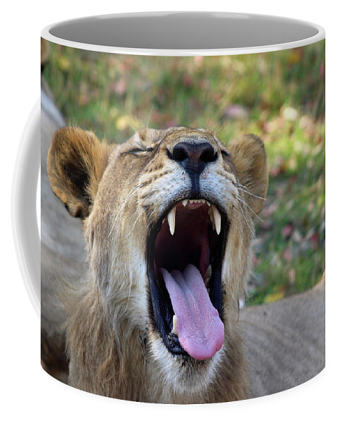  Coffee Mug featuring the photograph Get back... by Eric Pengelly