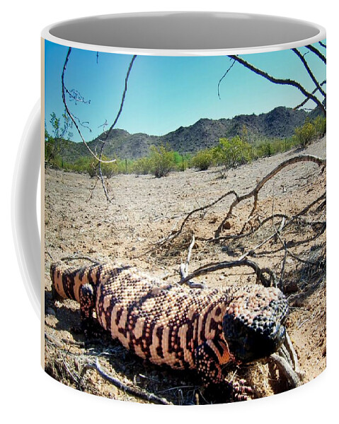 Animals Coffee Mug featuring the photograph Gila Monster in the Arizona Sonoran Desert by Judy Kennedy