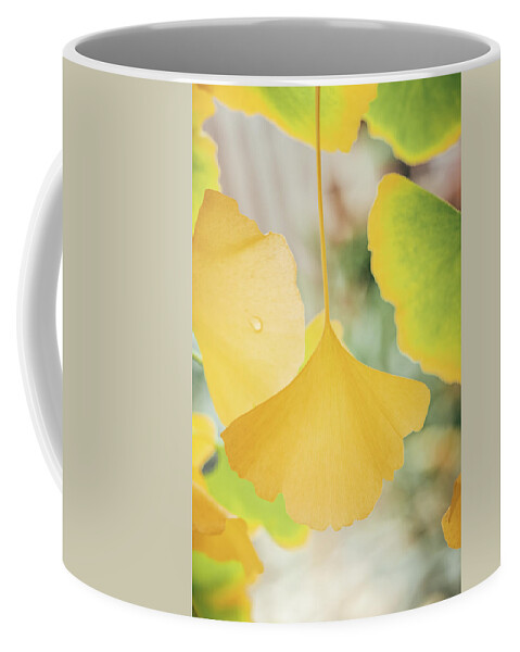 Ginkgo Coffee Mug featuring the photograph Ginkgo Symbol by Philippe Sainte-Laudy