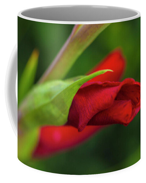 Flower Coffee Mug featuring the photograph Gladiolus by Diane Fifield