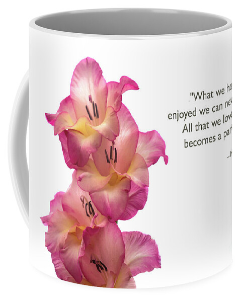 Summer Coffee Mug featuring the photograph Gladiolus Inspiration by Amy Dundon