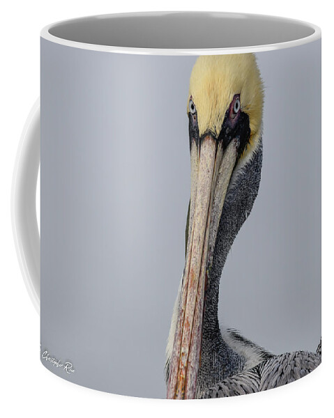 Brown Coffee Mug featuring the photograph Gloomy and Gray by Christopher Rice