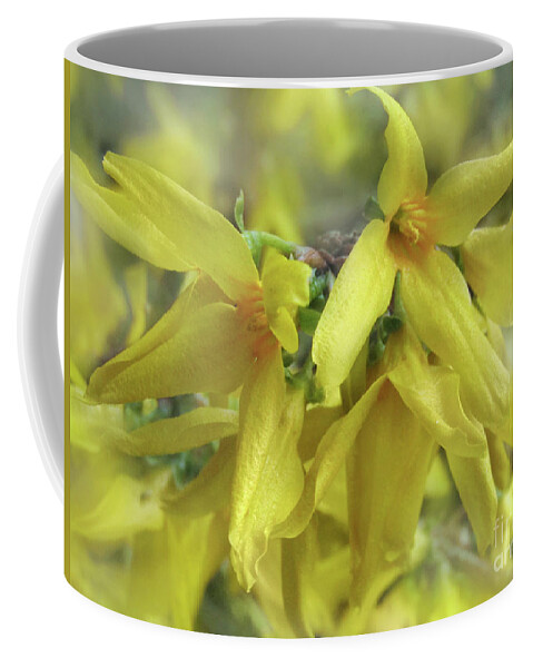 Forsythia Coffee Mug featuring the photograph Glowing April 2 by Kim Tran