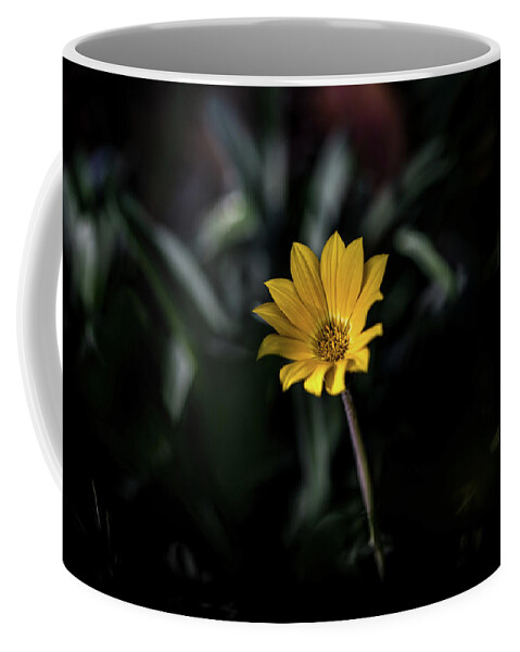 Flora Coffee Mug featuring the photograph Glowing Brightly by Az Jackson