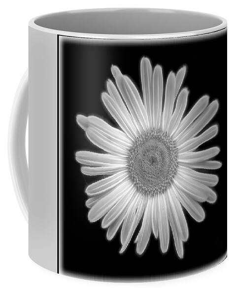 Black Coffee Mug featuring the photograph Glowing Daisy by Cathy Kovarik