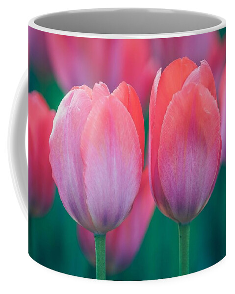 Beautiful Coffee Mug featuring the photograph Glowing Pink Tulips by Susan Rydberg