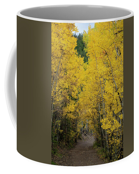 Aspen Coffee Mug featuring the photograph Golden Aspen Trail by Patrick Nowotny