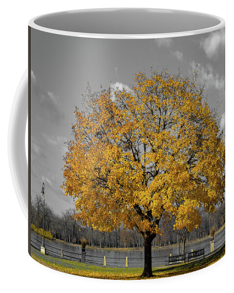 Tree Coffee Mug featuring the photograph Golden Gray Day by Phil S Addis