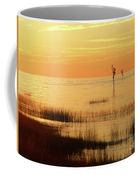 Cape Cod Coffee Mug featuring the photograph Golden Sunset 300 by Sharon Williams Eng