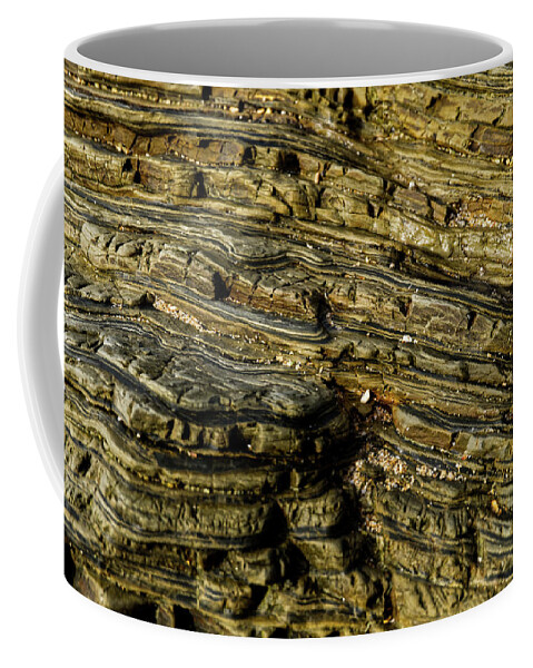 Macro Coffee Mug featuring the photograph Golden veins by Eric Hafner