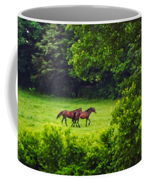 Horse Coffee Mug featuring the photograph Good Friends by Karin Everhart
