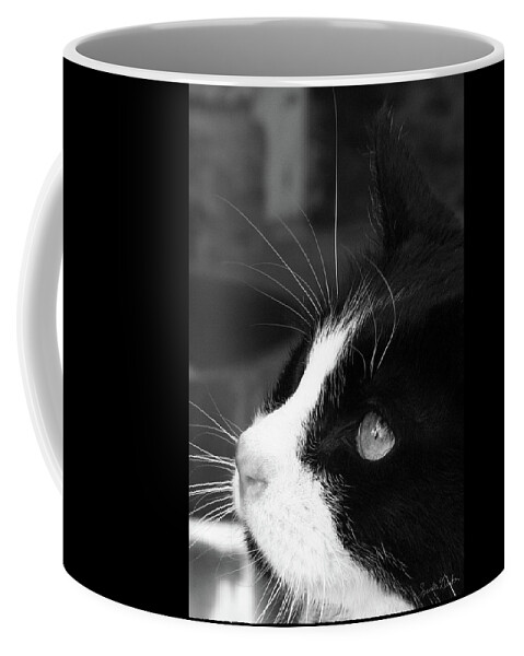 Gorgeous Coffee Mug featuring the photograph Gorgeous in Profile by Sandra Dalton