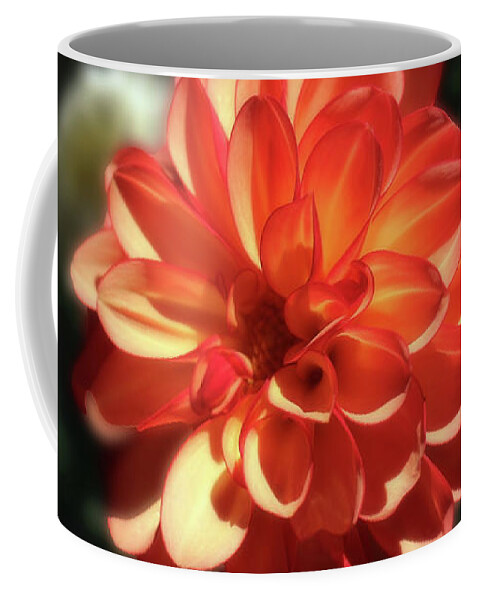 Dahlia Coffee Mug featuring the photograph Gorgeous Orange Dahlia In The Sunlight by Johanna Hurmerinta