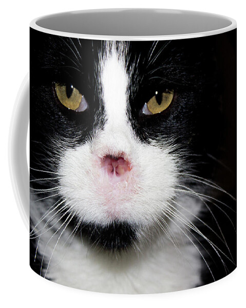 Feral Cat Photo Coffee Mug featuring the photograph Gorgeous - Portrait by Sandra Dalton