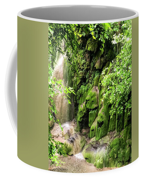 Photograph Coffee Mug featuring the photograph Gorman Falls by Kelly Thackeray