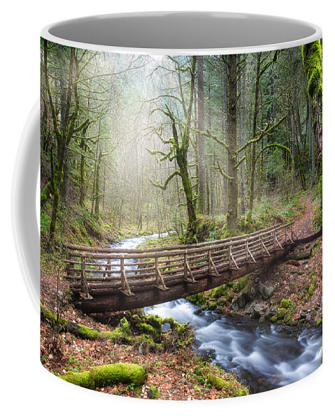 Oregon Coffee Mug featuring the photograph Gorton Creek by Nicole Young