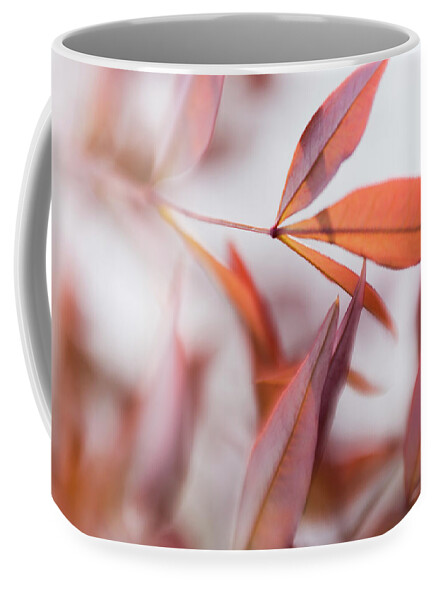 Orange Leaves Gracefully Blowing In The Wind Coffee Mug featuring the photograph Grace In Motion by Mary Lou Chmura