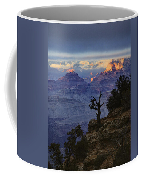 Grand Canyon National Park Coffee Mug featuring the photograph Grand Canyon Lone Tree by Chance Kafka