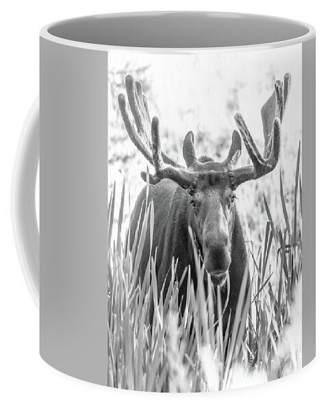 Grand Coffee Mug featuring the photograph Grand Entry by Kevin Dietrich