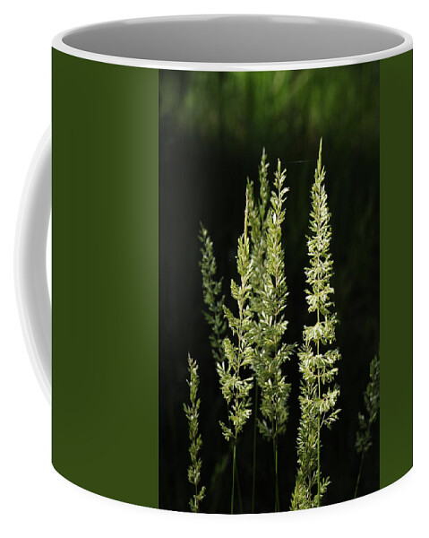  Coffee Mug featuring the photograph Grasses by Susie Rieple