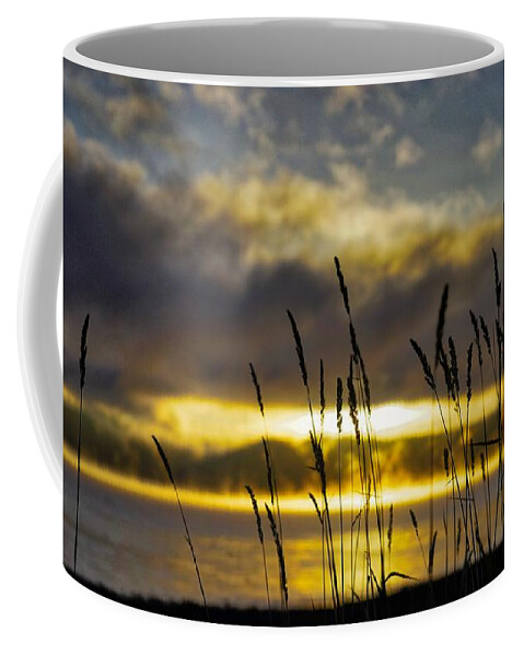 Lake Coffee Mug featuring the photograph Grassy Shoreline Sunrise by Tom Gresham