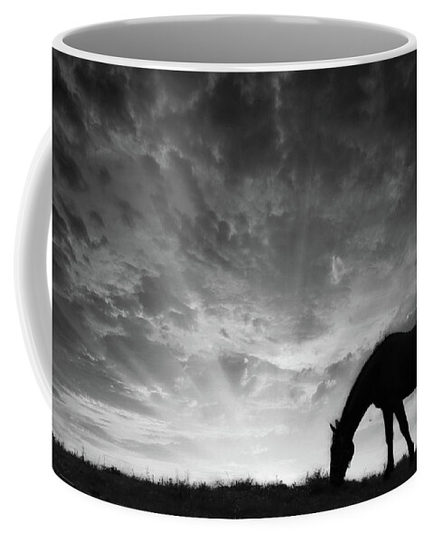 Horses Coffee Mug featuring the photograph Grazing at Sunset by Rick Redman
