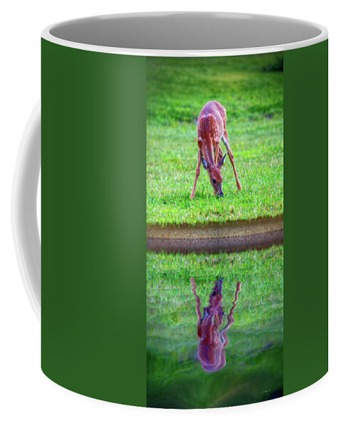 2d Coffee Mug featuring the photograph Grazing Reflection by Brian Wallace