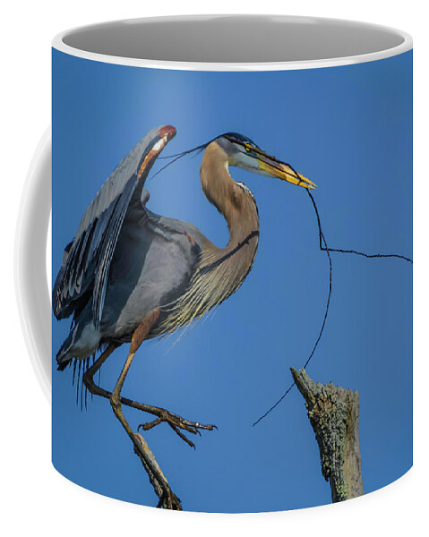 Herons Coffee Mug featuring the photograph Great Blue Heron 4034 by Donald Brown